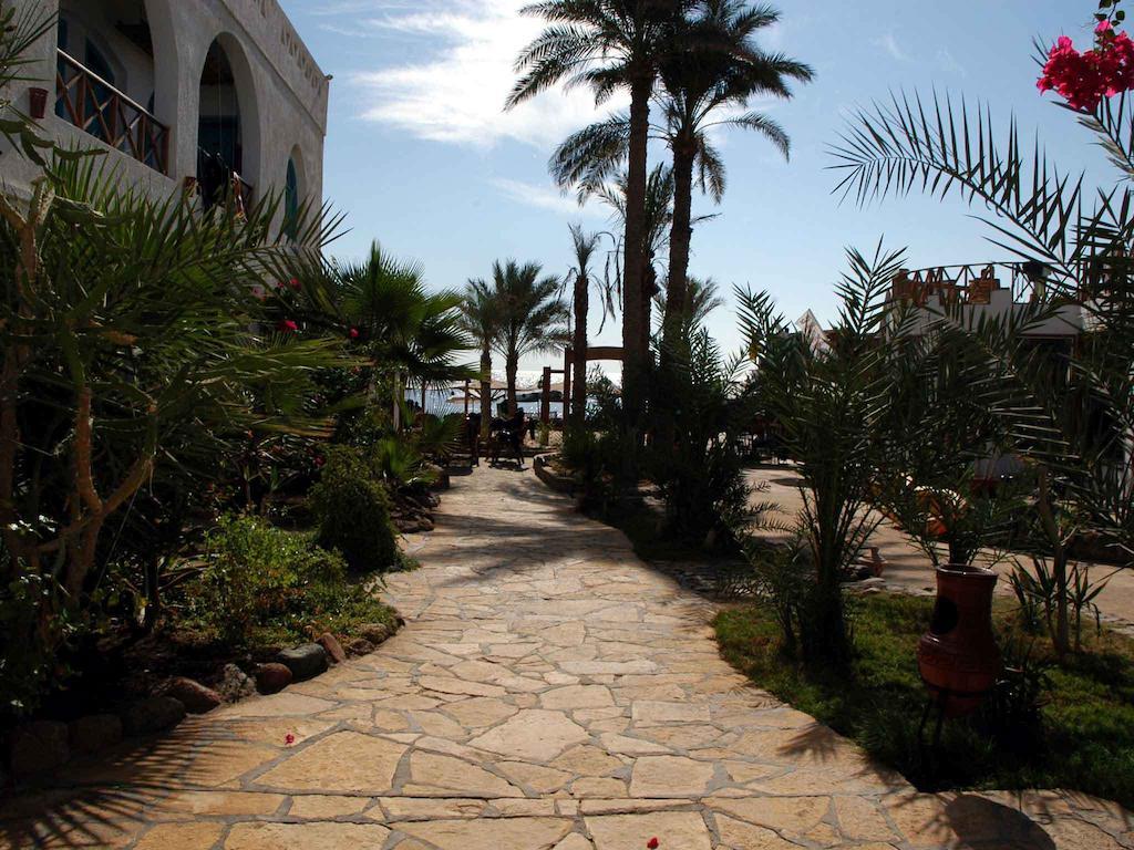 Planet Oasis Resort Dahab Exterior photo
