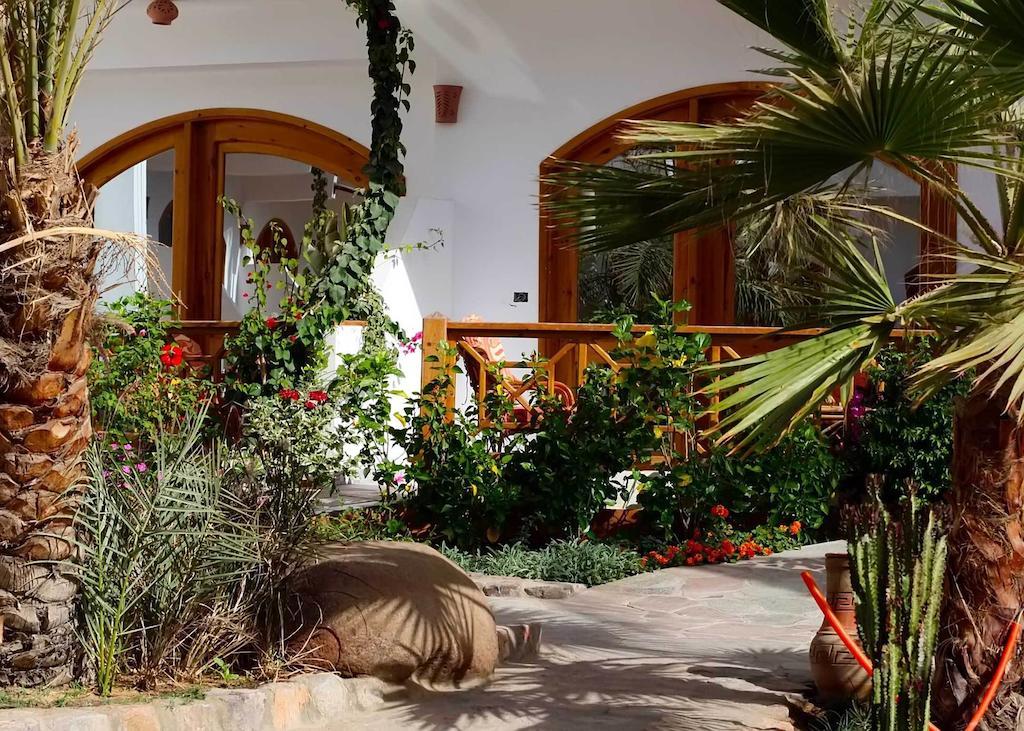 Planet Oasis Resort Dahab Room photo